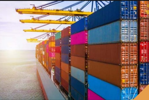 Specialized and Fragile Cargo Handling
